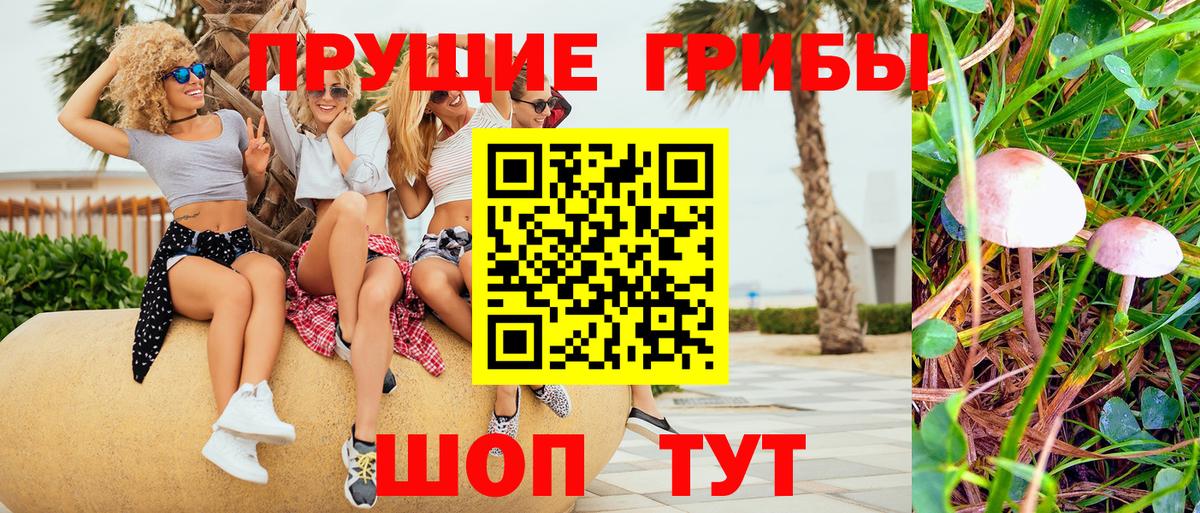 Галлюциногенные грибы ЛСД Губаха