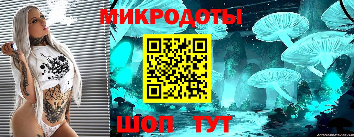 Губаха  Псилоцибиновые грибы ЛСД  Вход с VPN 